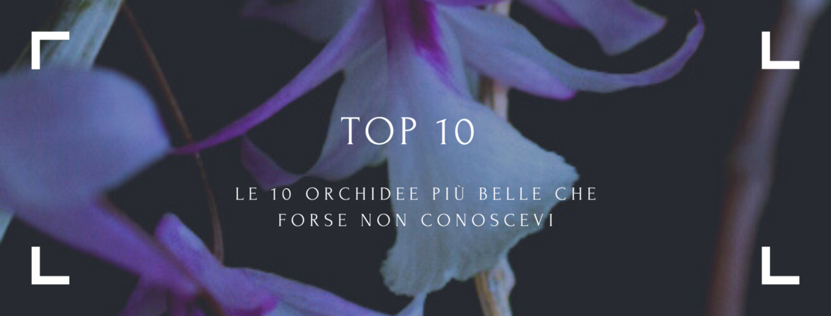 copertina top 10