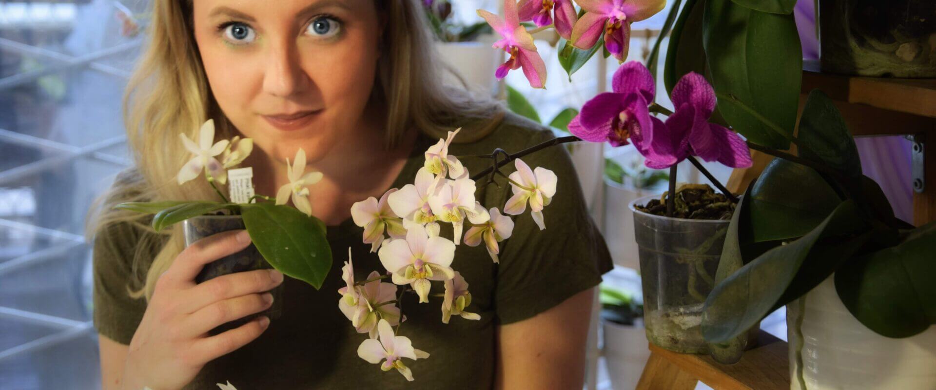 me e le phalaenopsis